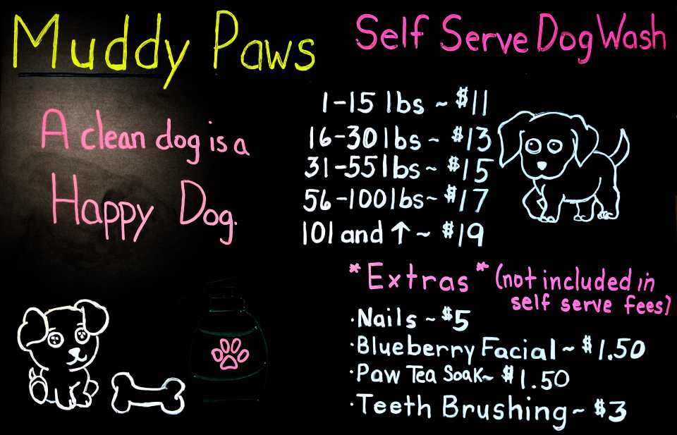 Muddy Paws Dog Wash and Grooming